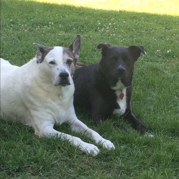 🎀 TOP 10% Seller, Mentor, Sharer, Ambassador! - Picture 7 of 9